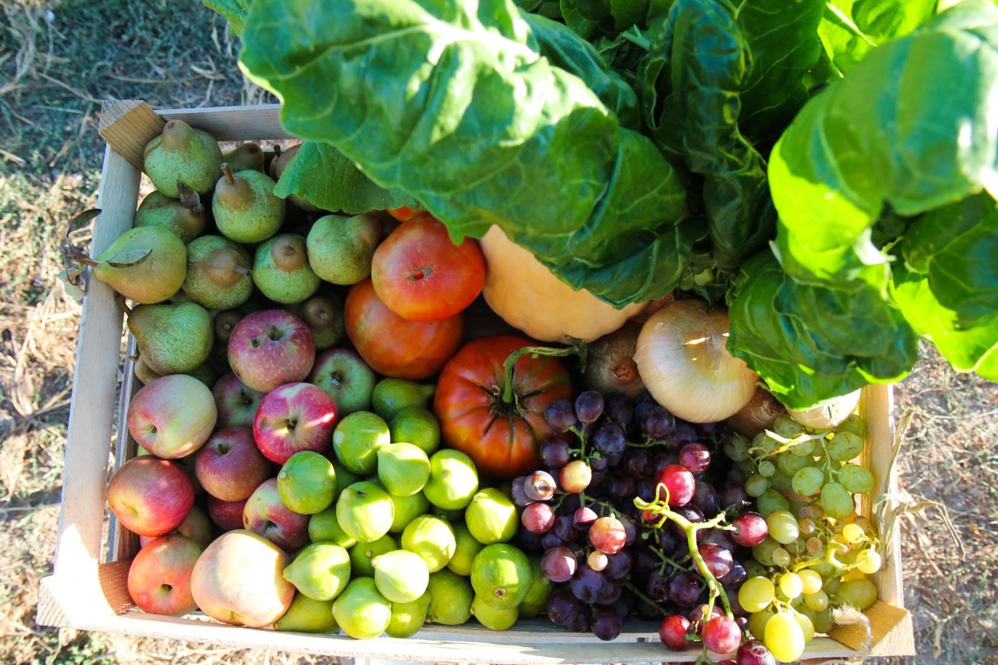 Chitaka'S Organic Farmhouse In Ribatejo Santo Estevao  Ngoại thất bức ảnh